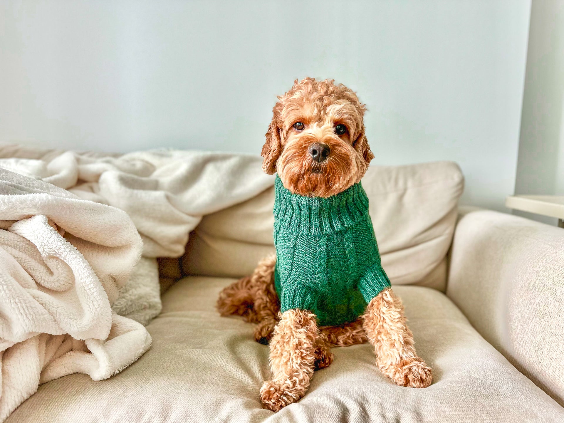 Benny green sweater