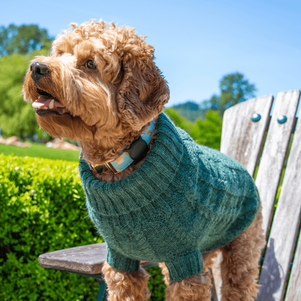 Quni Boutique Dog Sweater - 100% Baby Alpaca, Green - Quni Boutique