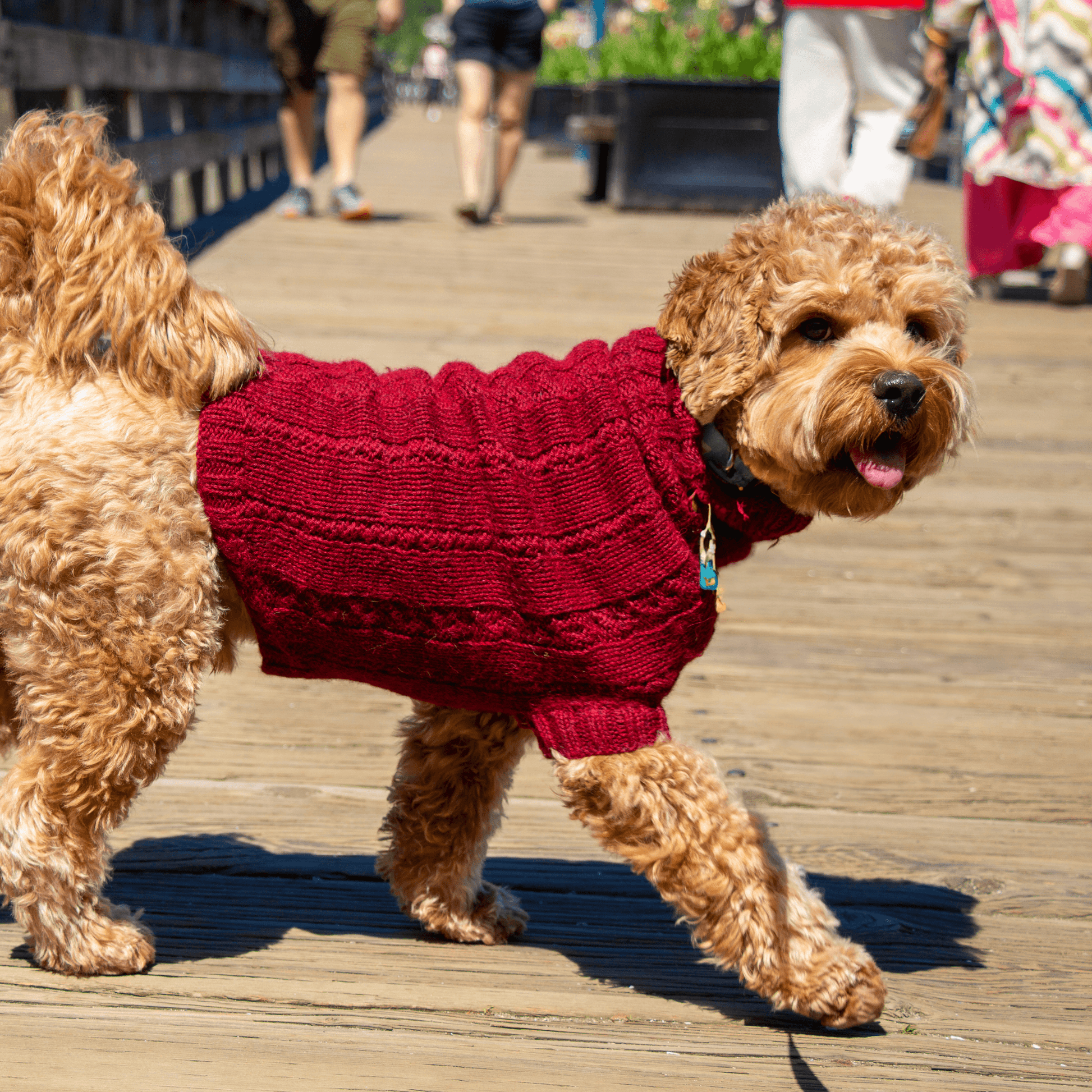 Quni Boutique Dog Sweater - 100% Baby Alpaca, Burgundy - Quni Boutique