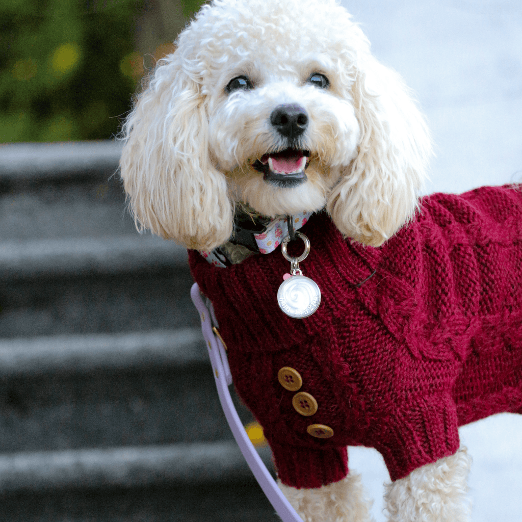 Quni Boutique Dog Sweater - 100% Baby Alpaca, Burgundy (with buttons) - Quni Boutique