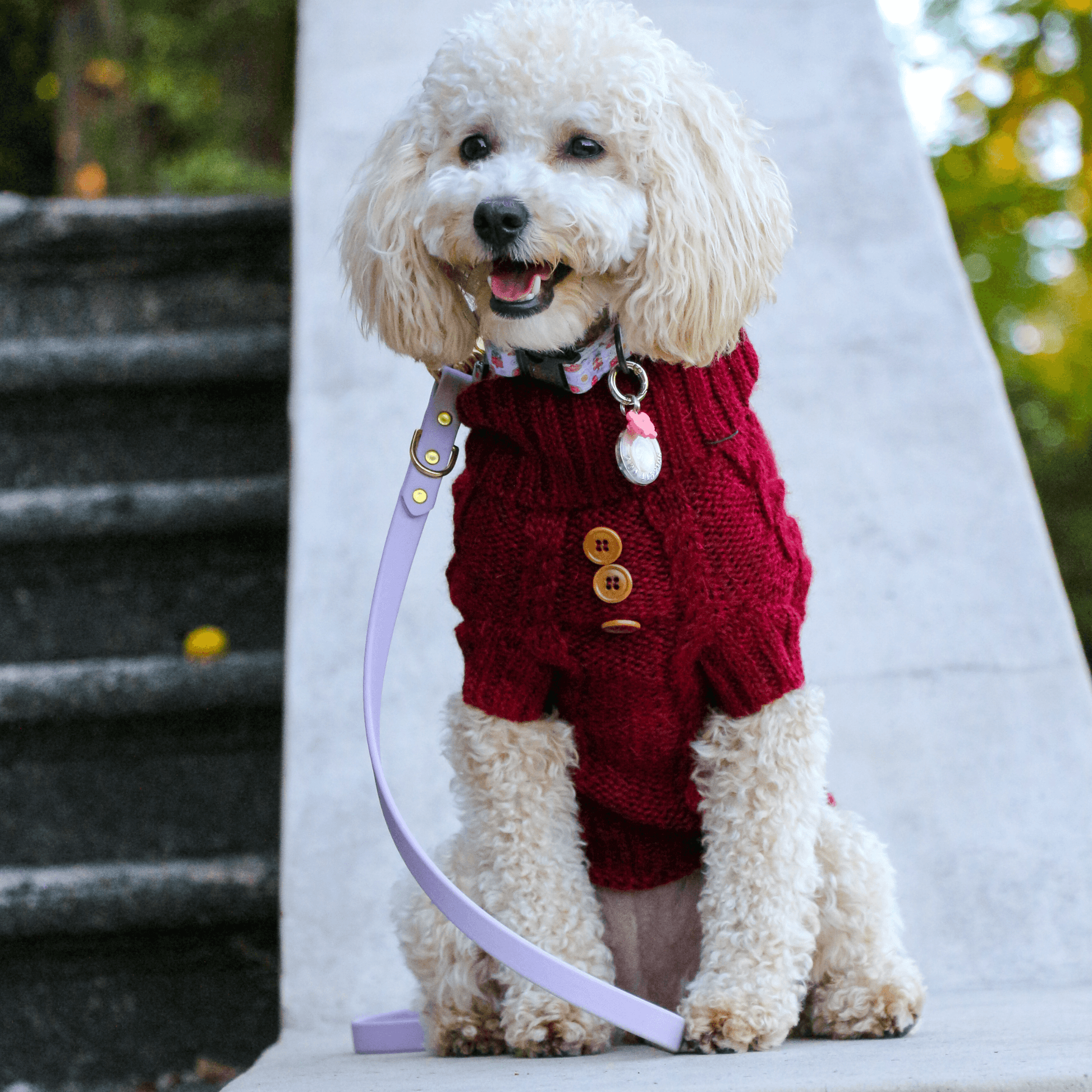 Quni Boutique Dog Sweater - 100% Baby Alpaca, Burgundy (with buttons) - Quni Boutique