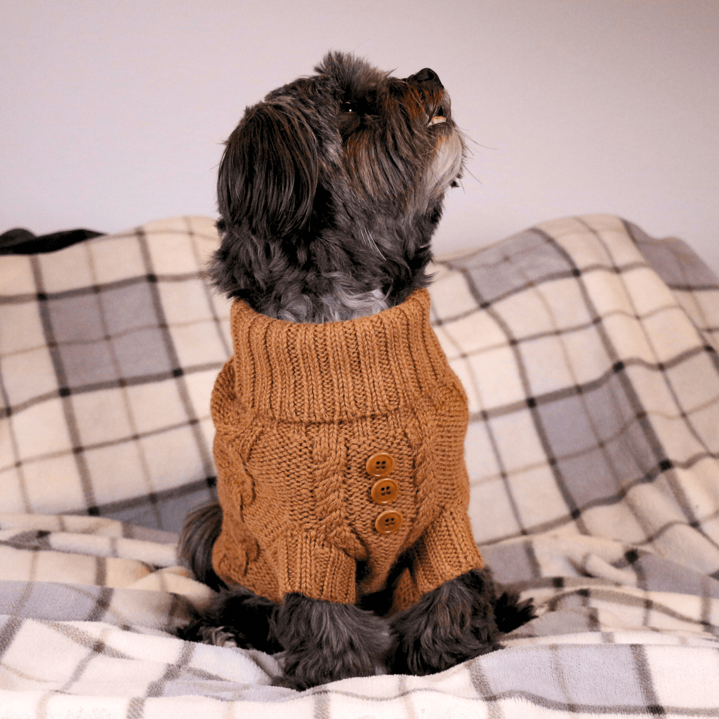 Quni Boutique Dog Sweater - 100% Baby Alpaca, Tan (with buttons) - Quni Boutique