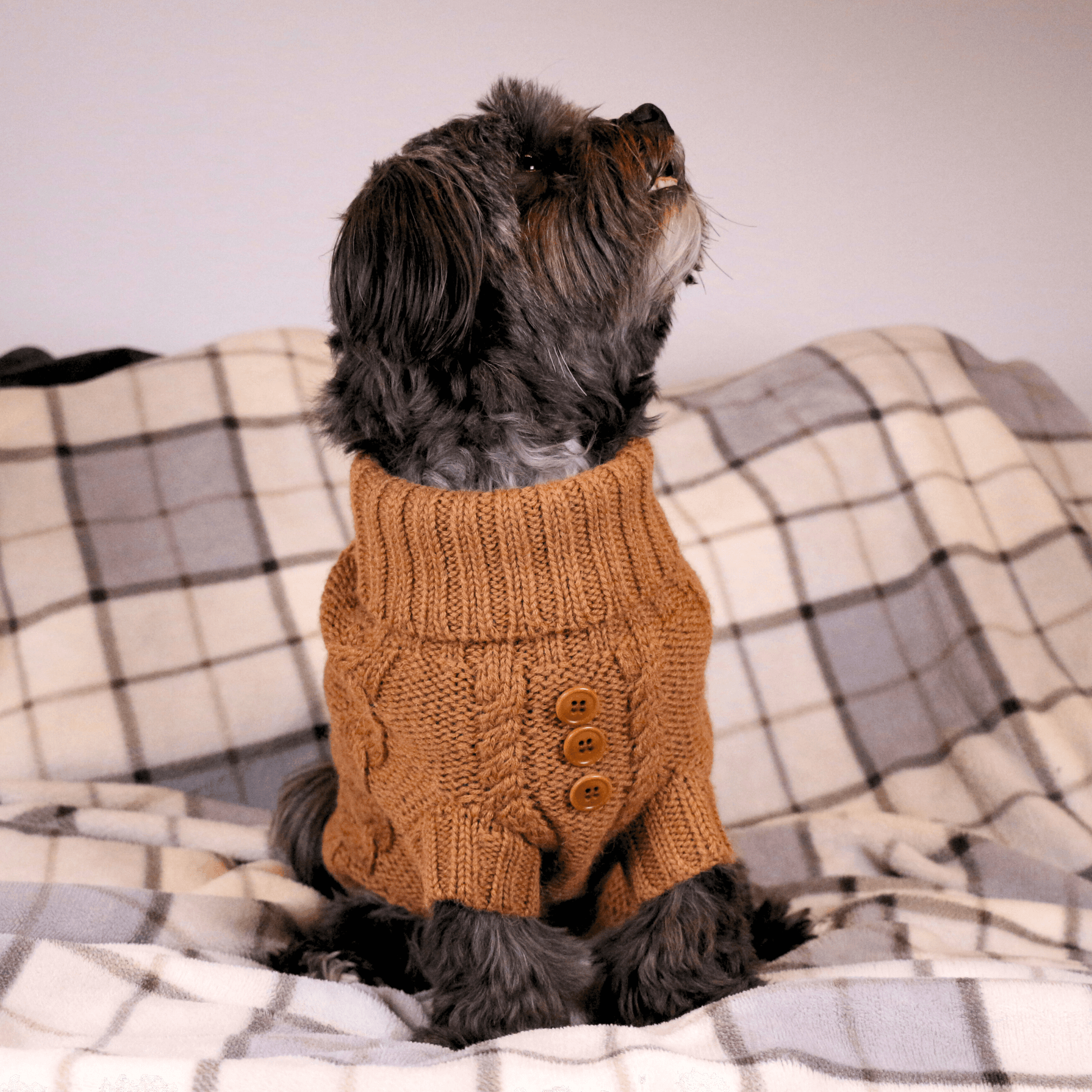 Quni Boutique Dog Sweater - 100% Baby Alpaca, Tan (with buttons) - Quni Boutique